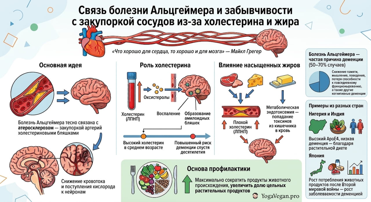 🧠 The link of Alzheimer's disease and forgetfulness with vessel clogging due to cholesterol and fat