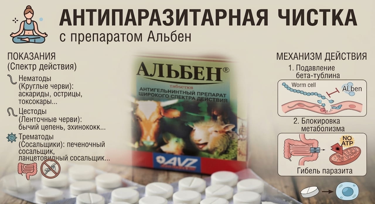 💊 Антипаразитарная чистка таблетками Альбен