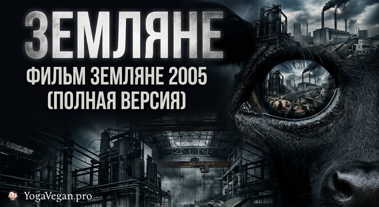 🎬 Фильм Земляне 2005