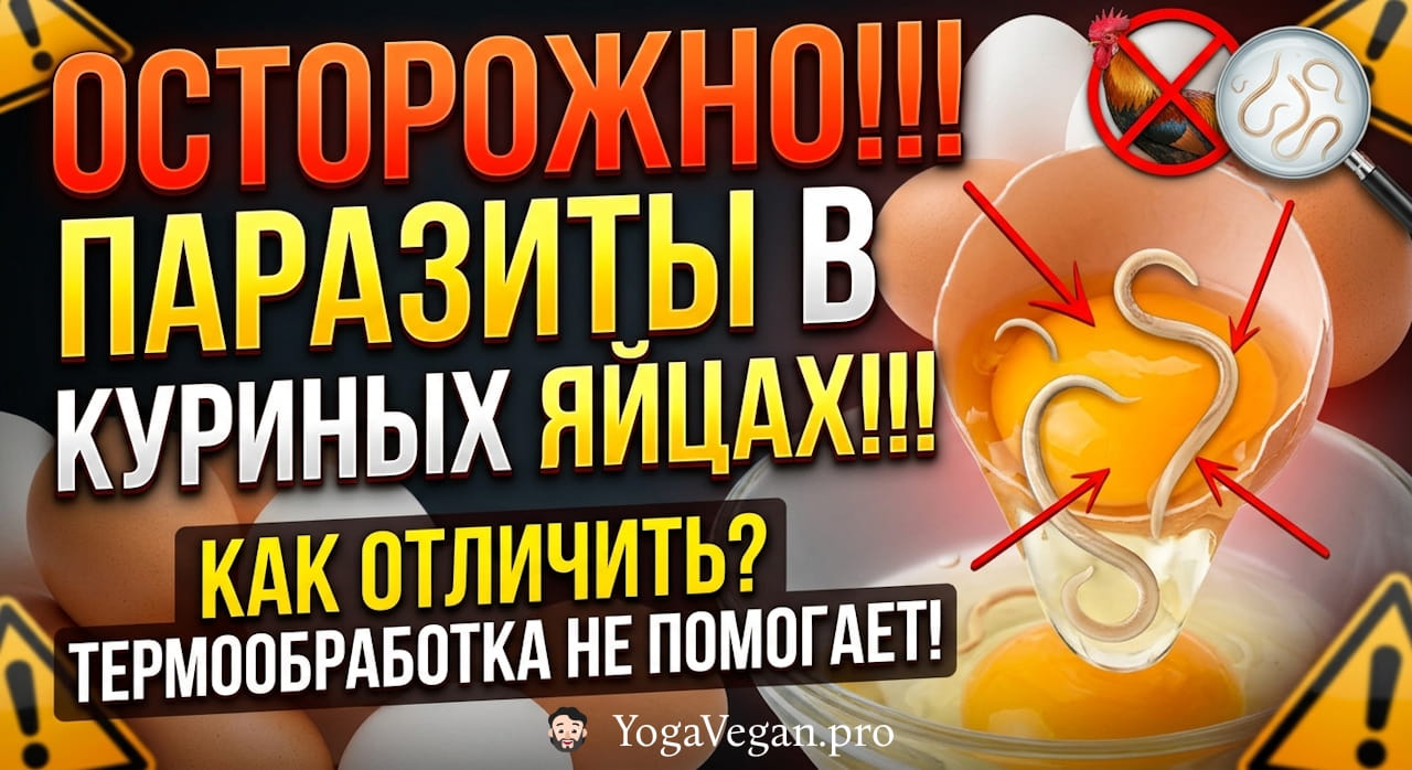 🎬 Осторожно! Паразиты в куриных яйцах 🥚