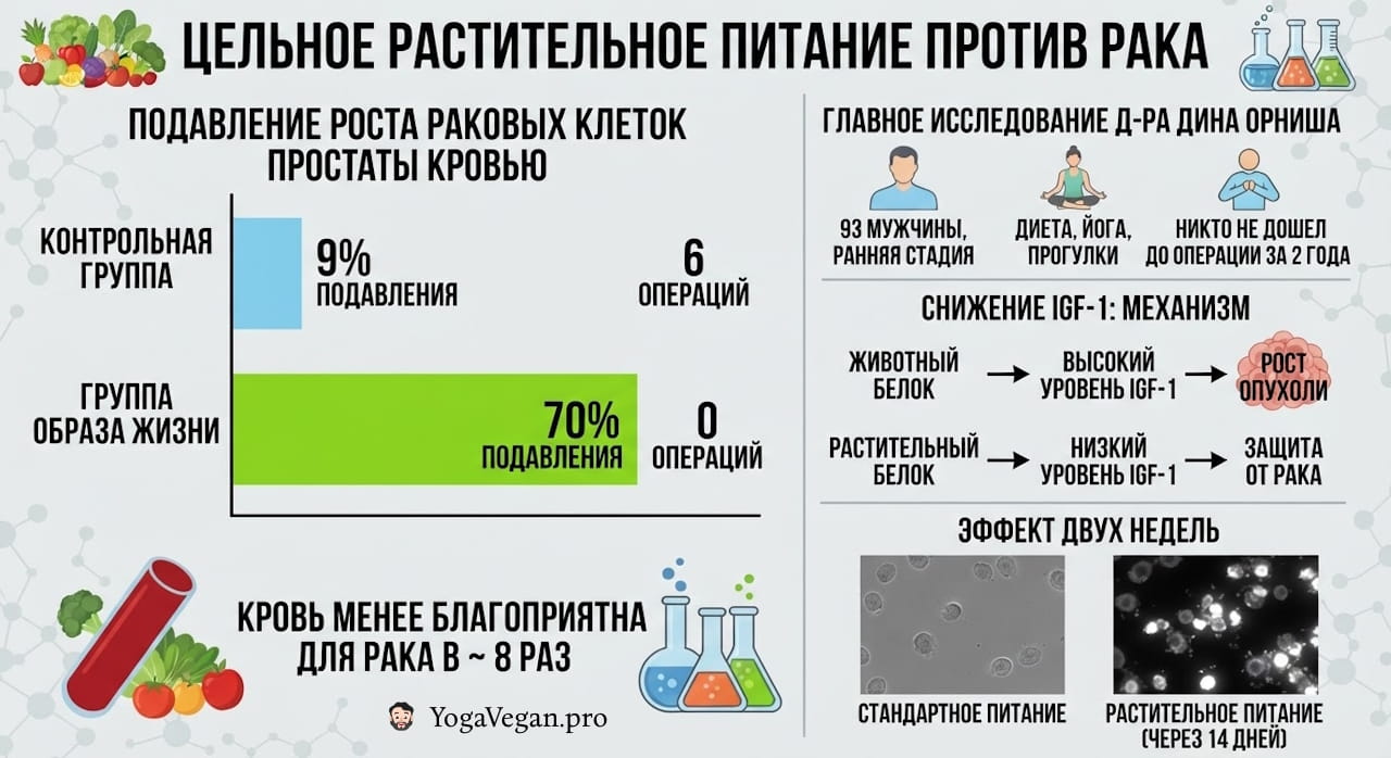 🥗 Цельное растительное питание лечит от рака